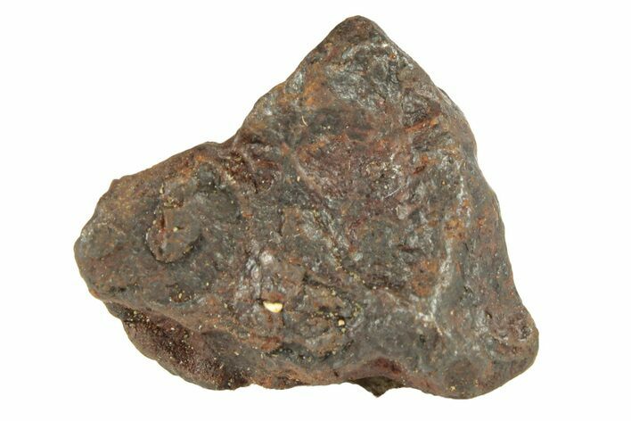 Canyon Diablo Iron Meteorite ( g) - Arizona #270806